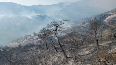 Wildfires accelerated by climate change can in turn damage plants and crops, further fuelling the greenhouse effect, scientists warn. AFP