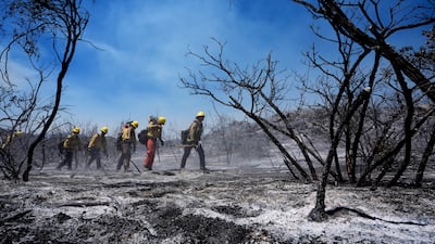 Firefighters look for hot spots from the Airport Fire in El Cariso Village after major wildfires blazed in Southern California's mountains, east of Los Angeles.  AP Photo