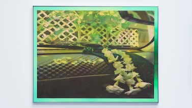 Alia Hamaoui's artwork Shaded Containment is part of Carbon 12's group exhibition Backbone. Photo: Carbon 12