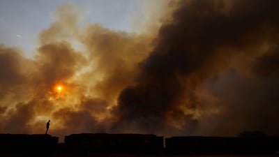 A man looks at smoke rising from wildfires in Brasilia National Park, in Brazil. Reuters